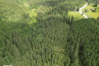 Teren de 5000 mp, în Comandău - 8