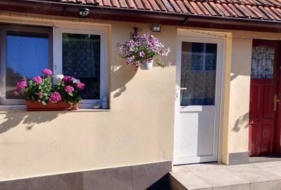 Casa de vanzare Costeiul de sus, com.Margina,jud.Timis - 1