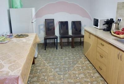 Casă individuală cu 6 camere cu Teren 1123 Mp în Breb - 19