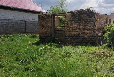 Casă cu 4 camere cu Teren 1032 Mp în Târnova - 6