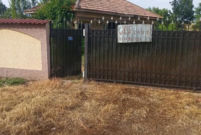 Casă cu Teren 1465 Mp în Dulceanca - 9