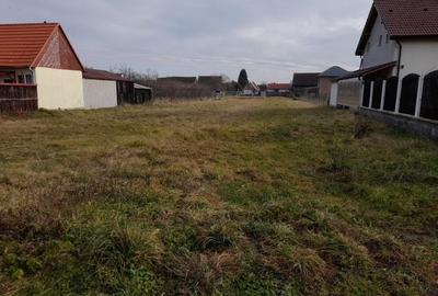 Imobiliare Maxim - teren intravilan in Cristian - 2