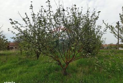 Casă cu 3 camere în Mailat - 10