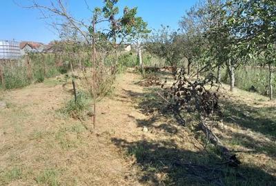 Casă cu 7 camere cu Teren 700 Mp în Central - 2