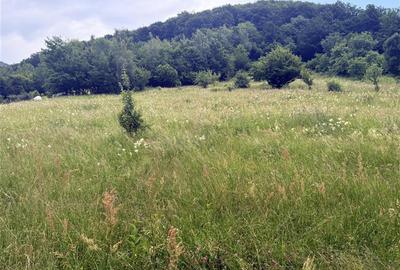 Teren intravilan de 1762 mp, în Someșu Rece - 3