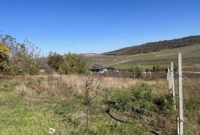 Teren de 1000 mp, în Central - 3