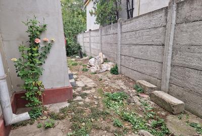 Buzau, strada Pacii - 2