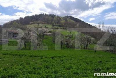 Casa individuala, 5500 mp teren, zona Vintu de Jos, Inuri - 1