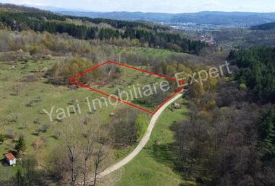 Teren de vanzare in Curtea de Arge?, strada Bu?aga. Teren de vanzare in Curtea de Arge?, strada Bu?aga. - 3