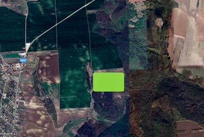 Teren agricol extravilan de 9018 mp, în Aroneanu - 2