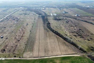 Spațiu comercial, în Moșnița Nouă - 6