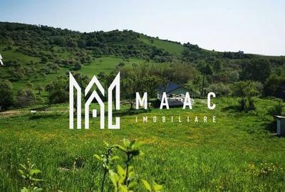 Spațiu comercial, în Bradu - 12