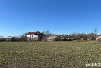 Teren de 10000 mp, în Lucianca - 5