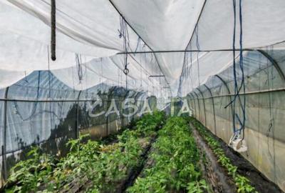 Casa situata in Samarinesti, sat Valea Bisericii - 12