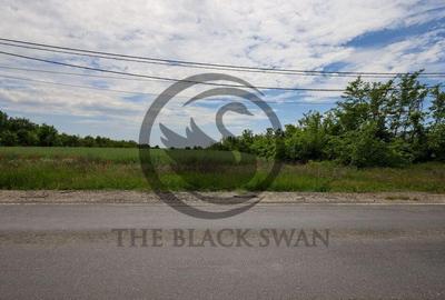 Teren de vanzare | 5000 mp | Parcul Industrial, Ploiesti ... - 4