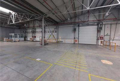 Spatiu Industrial - 6500 mp - Productie - Depozitare