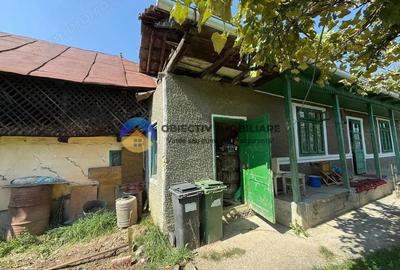 Casa batraneasca / Piatra Neam? / Pentru iubitorii de natura - 15