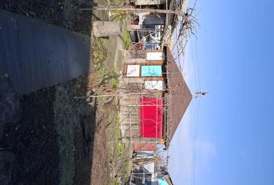 Casă cu 3 camere cu Teren 650 Mp în Sfântu Gheorghe - 9