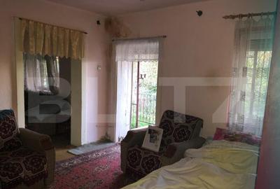 Casa batraneasca, 1500 mp teren, comuna Pomi - 15