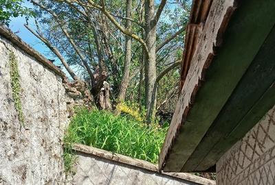 Casă cu Teren 2000 Mp în Cerchezu - 3