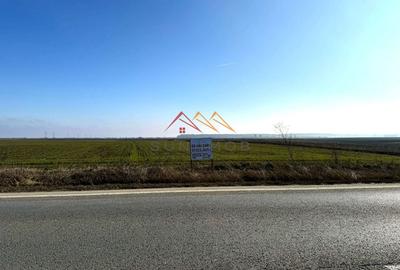 Teren Construcții intravilan de 4927 mp, în Dărmănești - 2