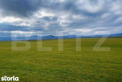 Teren de 12000 mp, în Central