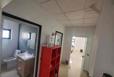 Spatiu depozitare si productie Mogosoaia - 6