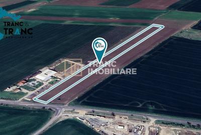 Teren Construcții intravilan de 28000 mp, în Vladimirescu - 2