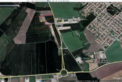 Teren extravilan DNCT Timisoara - Covaci - 3