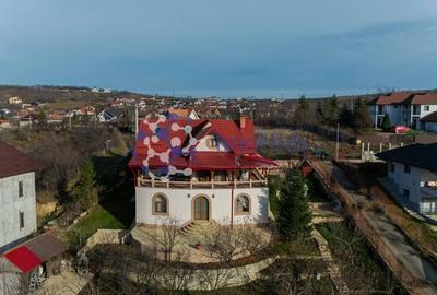 Villa Zona Bucium-Plopii Fara Sot ( pretabila si comercial) POTENTIAL RIDICAT - 4