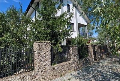 Vila superba, cu piscina, 970mp teren, D+P+E+M, gradina amenajata+pomi fructifer - 6