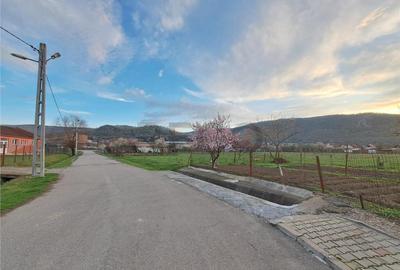 RECO Apartament cu curte, garaj si gradina Astileu - 10