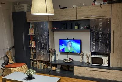 Apartament cu 2 camere semidecomandat în Teiul Doamnei - 6