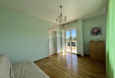 Casa cu potential imens in Sat Lilieci, pe Aleea Florilor - langa raul - 19