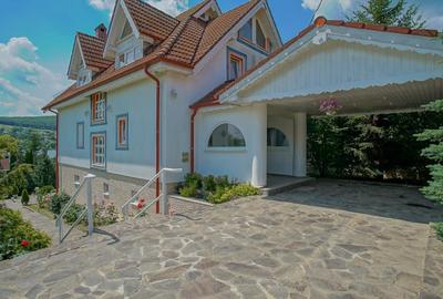 Casă individuală cu 12 camere în Moacșa - 2