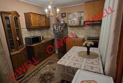 Casă familiară de vânzare în Bixad! - 13