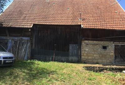 Casă cu Teren 6500 Mp în Dretea - 4