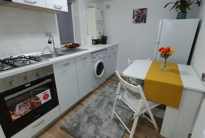 Apartament cu 2 camere semidecomandat, mobilat în Parcul Carol - 9