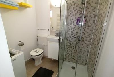 Apartament cu 2 camere semidecomandat, mobilat în Romană - 11