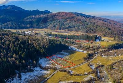 Teren intravilan de 10000 mp, în Brădet - 9