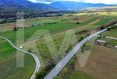 Teren extravilan  3.942 mp de vanzare - Talmaciu, jud. Sibiu - 3