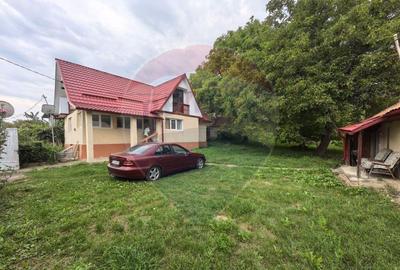 Casa traditionala De Vanzare cu 5 Hectare de teren - 2