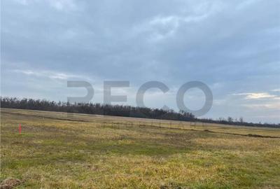 RECO Teren intravilan cu PUZ, la 4 minute de oras ,720 mp,Pa - 12