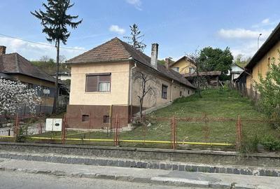 Casă cu 5 camere cu Teren 7000 Mp în Central - 2