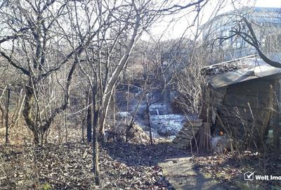 Casa si teren de 816 mp, zona Zorilor-Buna Ziua, Cluj-Napoca, reducere de pret! - 2