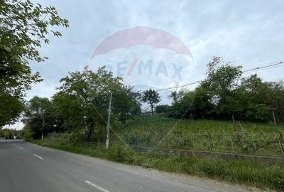 Casă individuală cu 3 camere cu Garaj în Oancea - 10