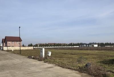 Teren Construcții intravilan de 786 mp, în Corbeanca - 5