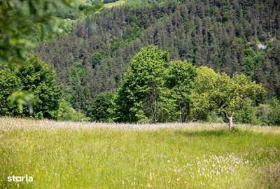 Teren de 1050 mp, în Moieciu - 7