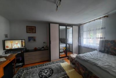 Casă individuală cu 4 camere cu Teren 2381 Mp în Gușterița - 7
