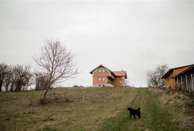 FILM! Domeniu de 5.000mp +Casa, in Berchez:o bijuterie ascunsa a Maramuresului - 2